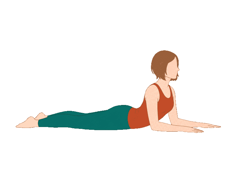 Back-body basics